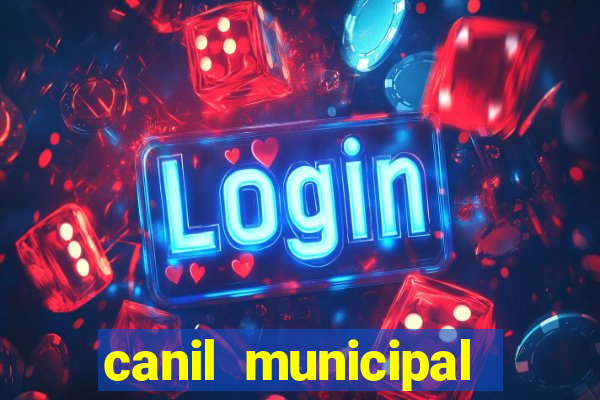 canil municipal porto alegre